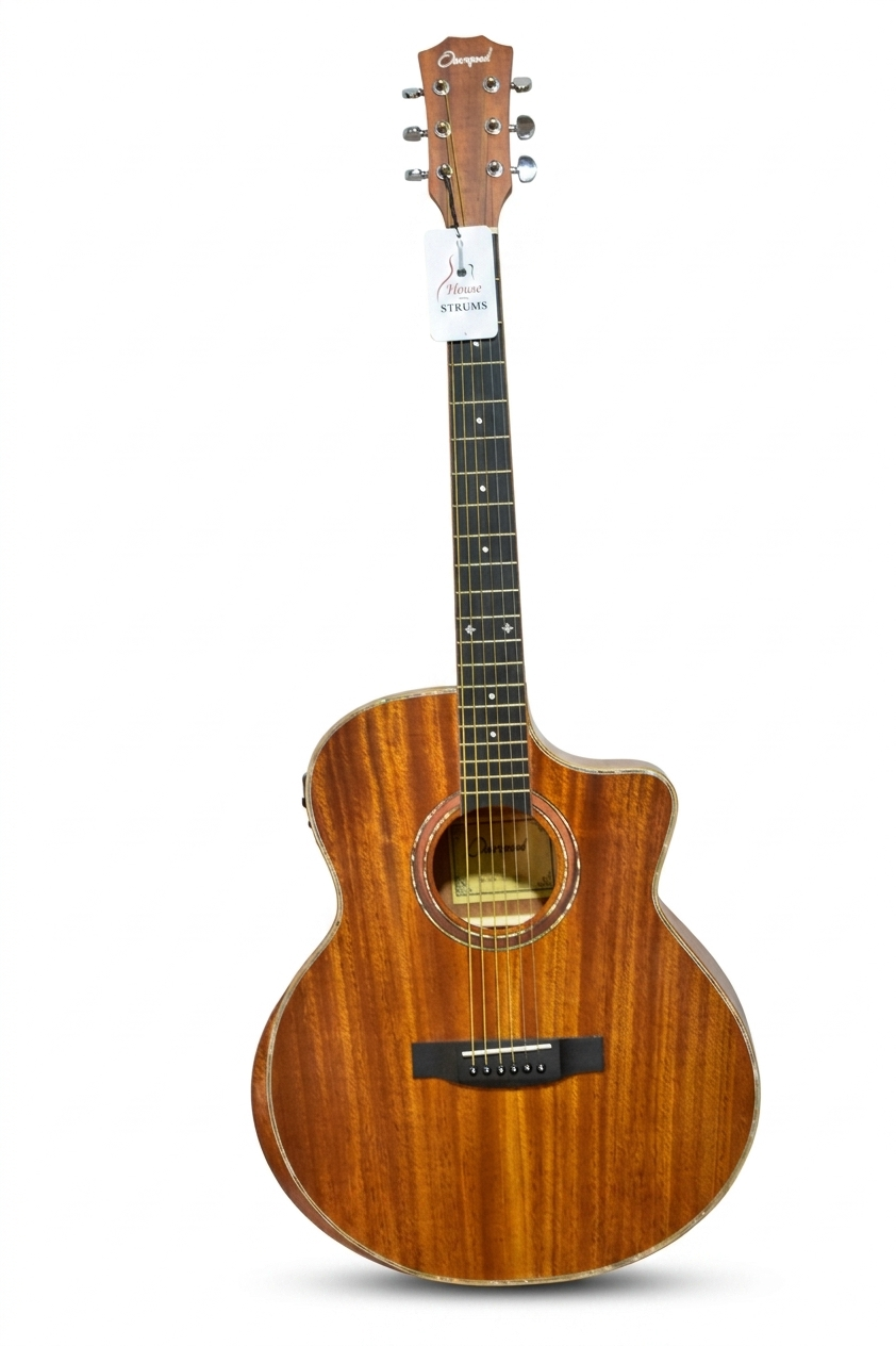 OVERSPEED Steel Guitar with Fishman unit