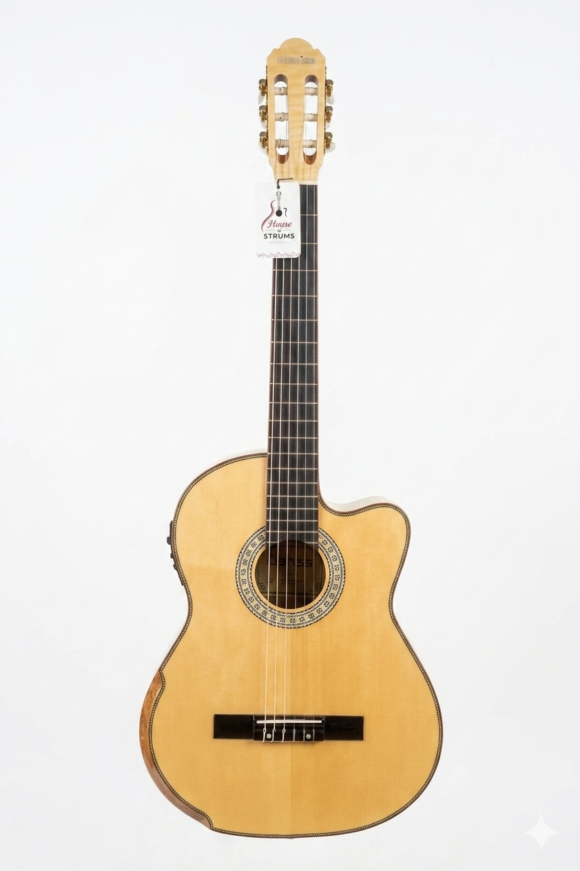 CLARISS Classical Guitar With Fishman Unit