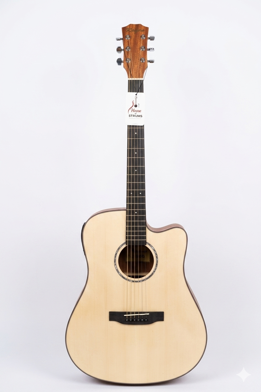 REETONE Steel guitar with DIGI unit