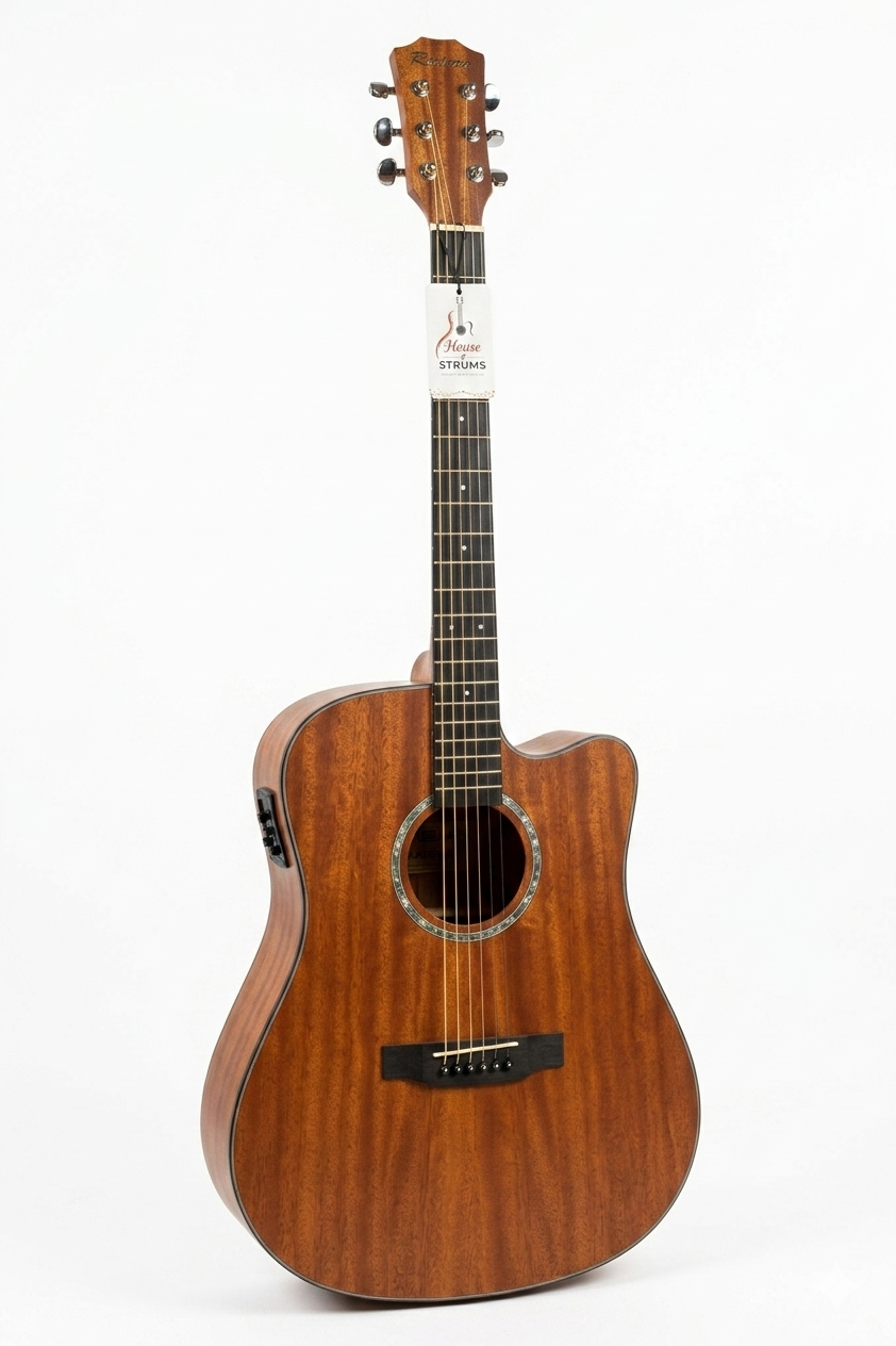 REETONE Steel guitar with DIGI unit